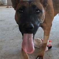 Thumbnail photo of Grover #1