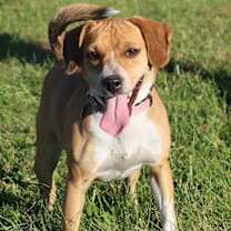 Thumbnail photo of BAYLEY #3