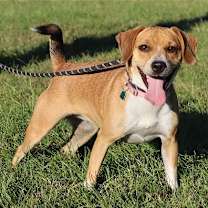 Thumbnail photo of BAYLEY #1