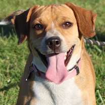 Thumbnail photo of BAYLEY #2