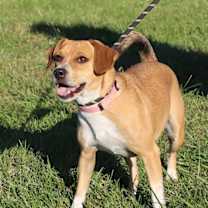 Thumbnail photo of BAYLEY #4