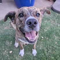 Thumbnail photo of Chloe #1