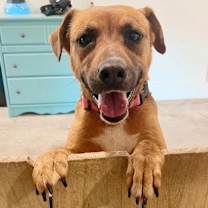 Thumbnail photo of Francine #1