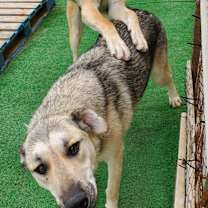 Thumbnail photo of Luna #3