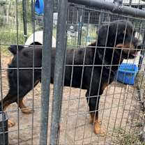 Thumbnail photo of ZEUS D #1