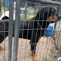 Thumbnail photo of ZEUS D #3