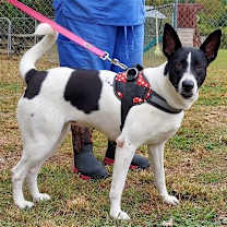 Thumbnail photo of Sandy #2