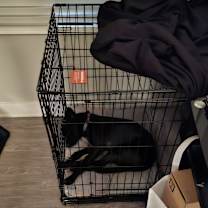 Thumbnail photo of Luna #4