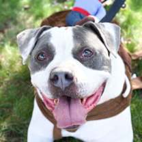 Thumbnail photo of Mellow #1