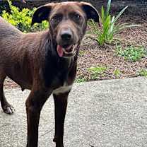 Thumbnail photo of Lainey #2