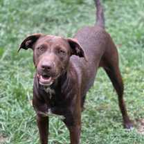 Thumbnail photo of Lainey #4
