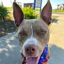 Thumbnail photo of Kay #1