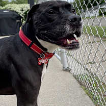 Thumbnail photo of JUNIOR #3