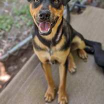 Thumbnail photo of Joseph #1