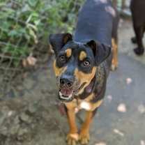 Thumbnail photo of Joseph #2