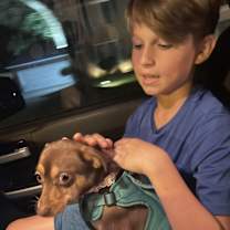 Thumbnail photo of Fudge #4