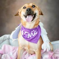 Thumbnail photo of Molly #1