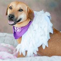 Thumbnail photo of Molly #2