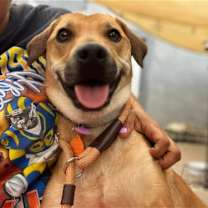 Thumbnail photo of Molly #4