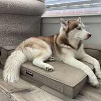 Thumbnail photo of Coby #2