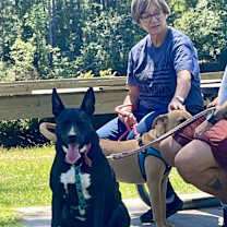 Thumbnail photo of Sue #2