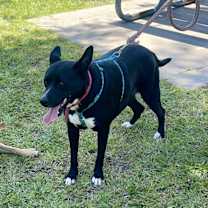 Thumbnail photo of Sue #3