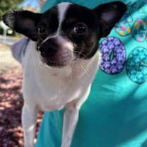 Thumbnail photo of Julio #2