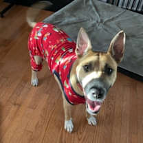Thumbnail photo of Murphy 2 #2