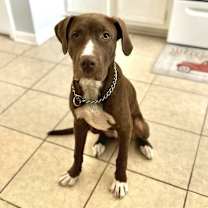 Thumbnail photo of Bohdie #2
