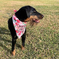 Thumbnail photo of Pippy #4