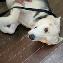 Thumbnail photo of Gracie Brown #2