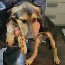 Thumbnail photo of Harry Brown #1