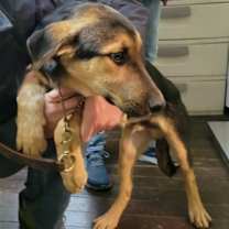 Thumbnail photo of Harry Brown #2