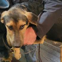 Thumbnail photo of Harry Brown #3