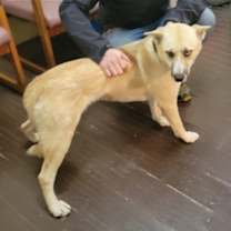 Thumbnail photo of Georgia Brown #1