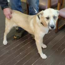 Thumbnail photo of Georgia Brown #2