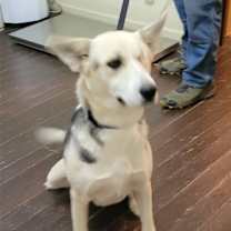 Thumbnail photo of Gracie Brown #1