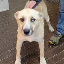 Thumbnail photo of Georgia Brown #3