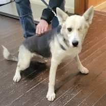 Thumbnail photo of Gracie Brown #3