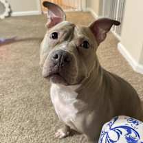 Thumbnail photo of Skye #1