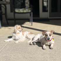 Thumbnail photo of Pokey! #3