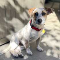 Thumbnail photo of Pokey! #4