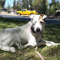 Thumbnail photo of ALICE-Special Needs #2
