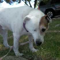 Thumbnail photo of ALICE-Special Needs #3