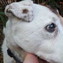 Thumbnail photo of ALICE-Special Needs #4