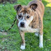 Thumbnail photo of ZIGGY #1