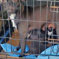 Thumbnail photo of Burbuja - Bubbling girl:) #4