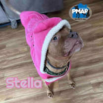 Thumbnail photo of Stella #1