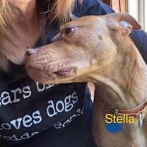 Thumbnail photo of Stella #3