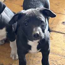 Thumbnail photo of Mable #1